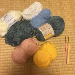 毛糸6玉とかぎ針2本セット