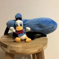 ディズニー　ドナルド　ベレー帽　ファンキャップ　マスコット付き