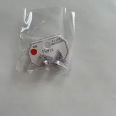 樹脂ポスト　ピアス