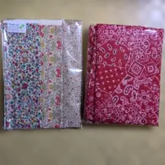 Item thumbnail for item 08c59280-5c8b-4b29-9bf9-be3169efa5b0