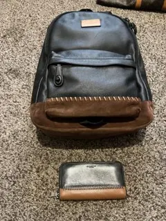 Coach コーチ　バックパック　レザー　へプル　グローブ　キャンパス　長財布