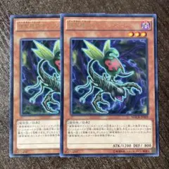 遊戯王　捕食植物オフリス・スコーピオ　字レア　2枚セット