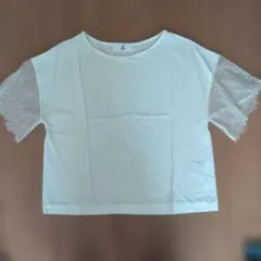 メゾンドリーファー　レース　Tシャツのサムネイル