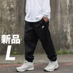 Item thumbnail for item 8b483d9c-013e-44cb-a293-3e3f6b192496