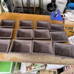 #202 常滑焼　盆栽鉢　12個セットのサムネイル