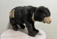 Item thumbnail for item fd32da76-cab6-4164-b384-313fb2f9b858