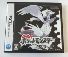 ポケモン　ポケットモンスター　ブラック　DS ソフト