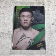 Item thumbnail for item 322d4f3d-f322-48d2-9475-0920da8fcd48