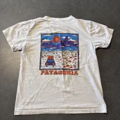 PATAGONIA サミットロードプリントTシャツ ホワイト バッグプリント