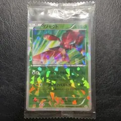 2025年最新】ゲノセクト 231 BW-P の人気アイテム - メルカリ