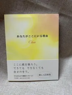 あなたがここにいる理由 Chie コレクション本‼️新品未読‼️