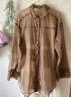 シースルー シアーシャツブラウス長袖❣️ ブラウン