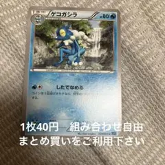 ゲコガシラ　在庫1