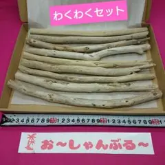流木セットno.419