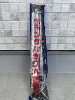 Item thumbnail for item f2d1abef-3dcc-45d3-a026-0f5503d730fd