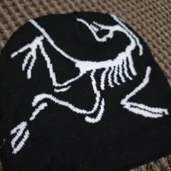 早い者勝ち!!!!!!! y2k Y2K アークテリクス風デザインビーニー