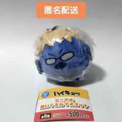 ハイキュー 月島蛍 ツキガラス アニマルぬいぐるみマスコット