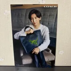 SixTONES 京本大我　coach ポストカード