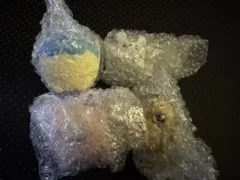 ポケモン まるくなる ガチャ タマザラシ　プリン　トゲデマル　サンド　4点