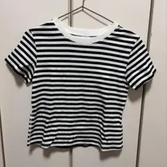 【未着用】ニコアンド COLORマイスターファットTシャツ