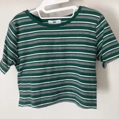 WEGO ボーダー クロップド丈 Tシャツ Mサイズ