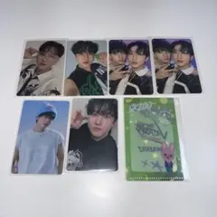 Stray Kids スキズ チャンビン 特典 トレカ ケース SKZOO