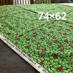 タンペラ　北欧ヴィンテージ生地　クリスマスコレクション　リンゴベリー