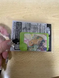 ポケモンフレンダ カイリュー スペシャル