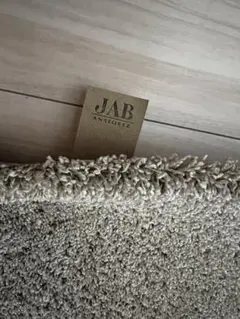 JAB ANSTOETZ ベージュカーペット