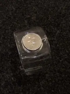 Item thumbnail for item c51715fb-a39b-4384-8192-efe1d957e3bc