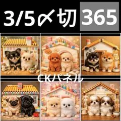 Item thumbnail for item 2d78bbbb-b450-4447-a63b-9e90d3553533