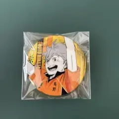 ハイキュー‼︎ 日向翔陽 ポートレートシャイニー 缶バッジ - メルカリ