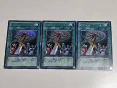 遊戯王 白き竜の落胤2枚 黒き竜のエクレシア セット - メルカリ