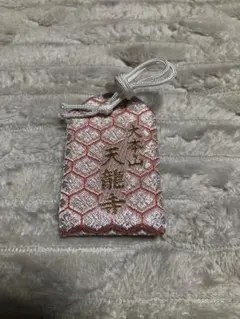 Item thumbnail for item 8d9f49c6-ee9d-4808-8195-83dfcded0553