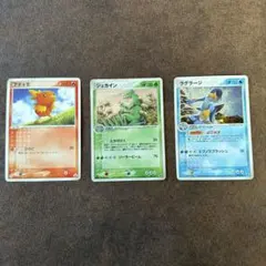 ポケモンカード アチャモ キモリ ミズゴロウ スターターセット