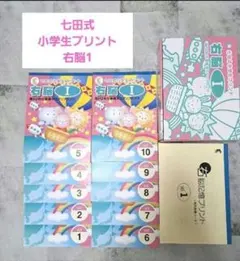 おまけ付き☆家庭保育園 たのしい絵カード1500 A~C 4箱セット+訓練 