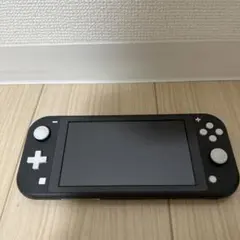 Switch Lite 本体とカバーケースのみ　グレーのサムネイル