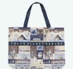 ディズニーリゾート エコバッグ ポケッタブルバッグ　大