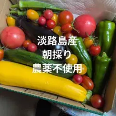 淡路島産　朝採り　採りたて　農薬不使用　除草剤不使用　野菜詰め合わせセットのサムネイル