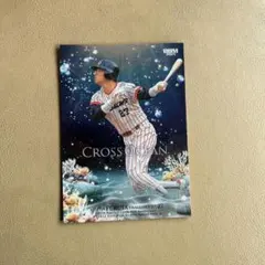 Item thumbnail for item 498daddc-b57d-4af0-878f-3b71d801642e