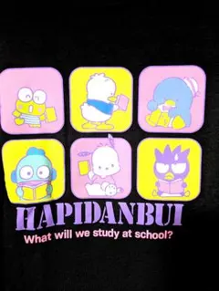 サンリオキャラクター半袖Tシャツ新品タグ付き