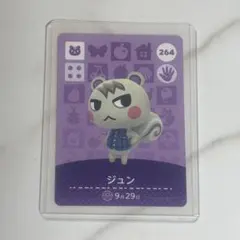 2026年最新】amiiboカードジュンの人気アイテム - メルカリ