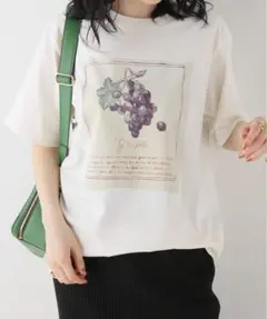 B.C STOCK 別注【FRUIT OF THE LOOM】フルーツTシャツのサムネイル