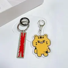 チェウォン アイドル