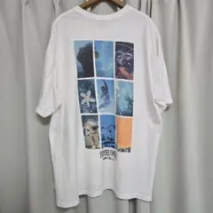 ヴィンテージ Tシャツ クルーネック 五分袖 砂漠風景 ビッグサイズ 