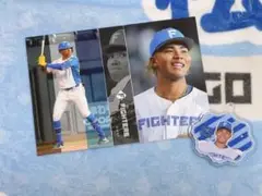 水谷瞬 北海道日本ハムファイターズミニフォトシークレット 日ハム おまけ付き