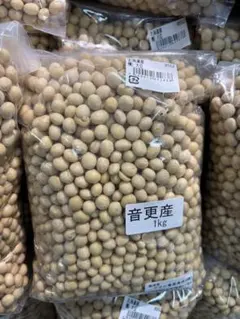 専用品 大豆(ゆきほまれ) 十勝産 10kg + 1割増量 初回限定お1人様1袋限り】ユキホマレ大豆 500g｜北海道 渡部農場 渡部
