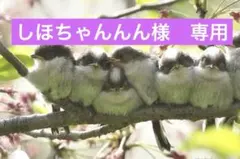 167 しほちゃんんん専用です