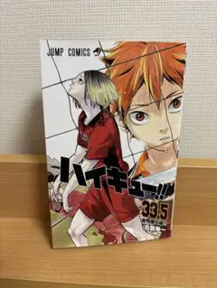 劇場版ハイキュー！！　入場者特典　33.5巻　⚠️お値下げ中