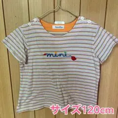 familiar カラフルボーダーTシャツ 120cm【24時間以内発送】